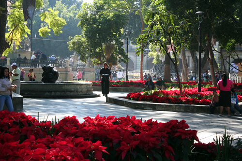 Mexico City Historic District