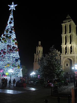 Mexico El Tannenbaum