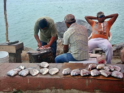 Tampico Fishermen