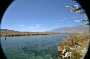 A clear pond in Cuatro Ciénegas, Coahuila