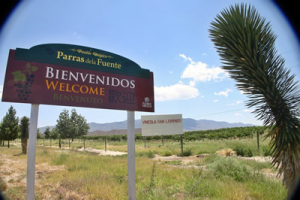 Parras de la Fuente, Coahuila