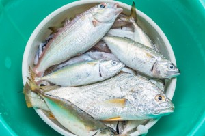 Fresh fish stacked on enamelware dish