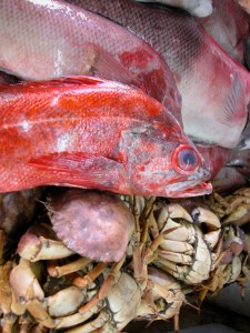 plate of fish