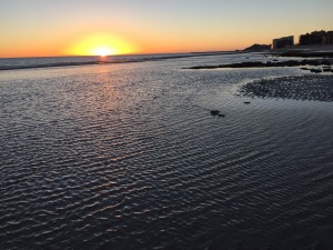 Sunset Sandy Beach Rocky Point