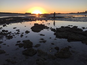 Sandy Beach Rocky Point