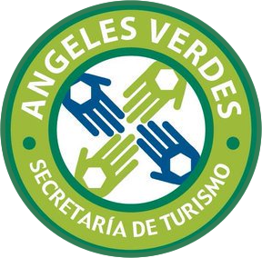 The Green Angels: Roadside & Emergency Assistance in Mexico | Mexpro