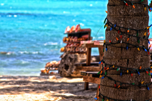 Palm tree on beach with Christmas lights wrapped around it