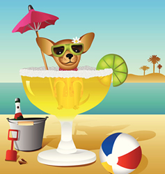 Dog in Margarita Glass Beach