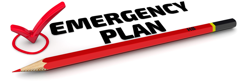 Words Emergency Plan next to check mark and above a pencil