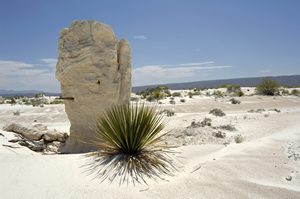 Cuatro Cienegas Dunes