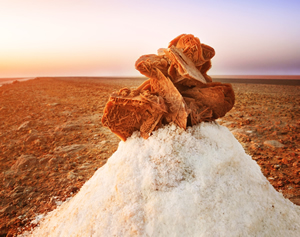 Photo of Selenite