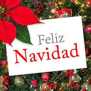 Sign that says Feliz Navidad on Christmas tree